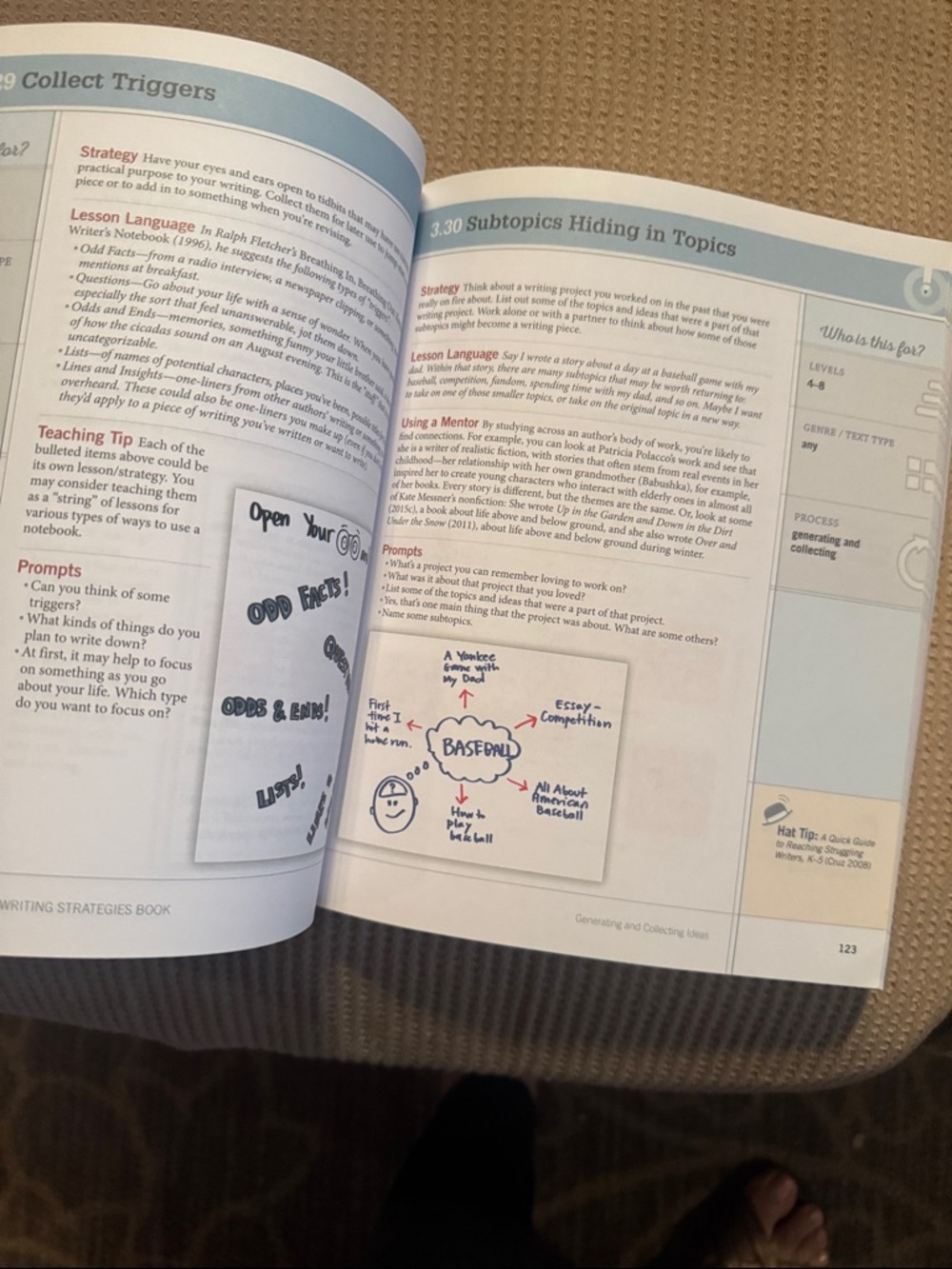 The Writing Strategies Book by Jennifer Serravallo - Green - Picture 7 of 7